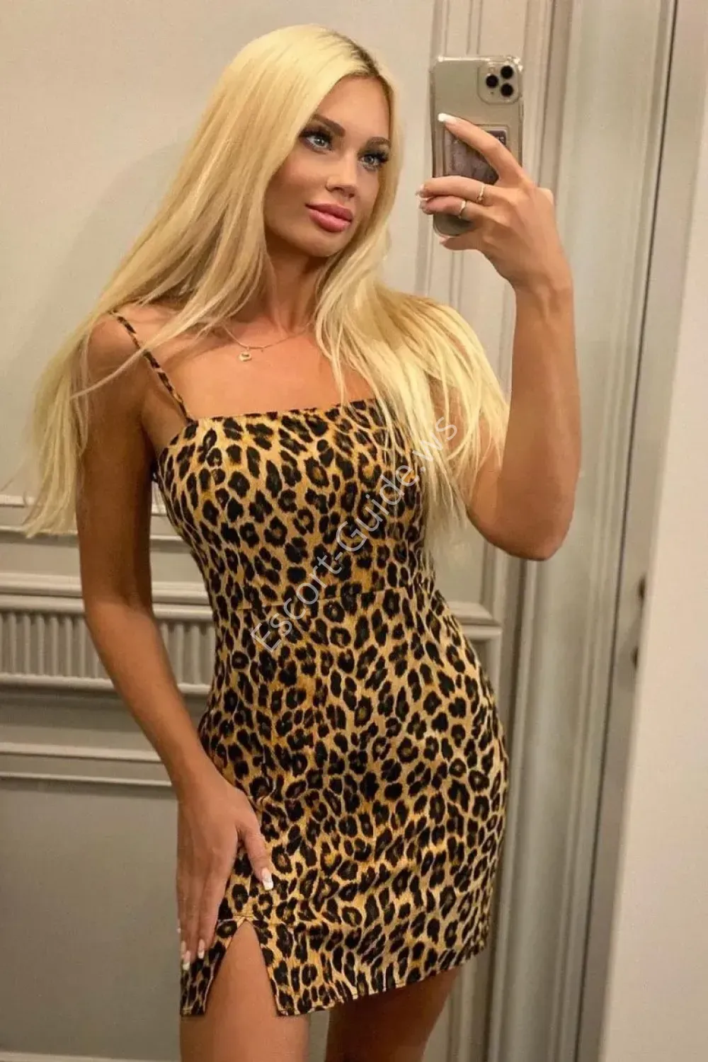 Samia, Caucasico