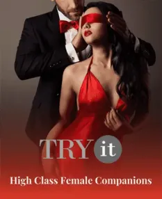TRy  IT Elite Accompaniment Portal