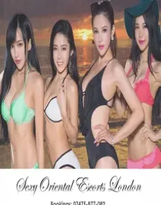 Sexy Oriental Escorts London, London